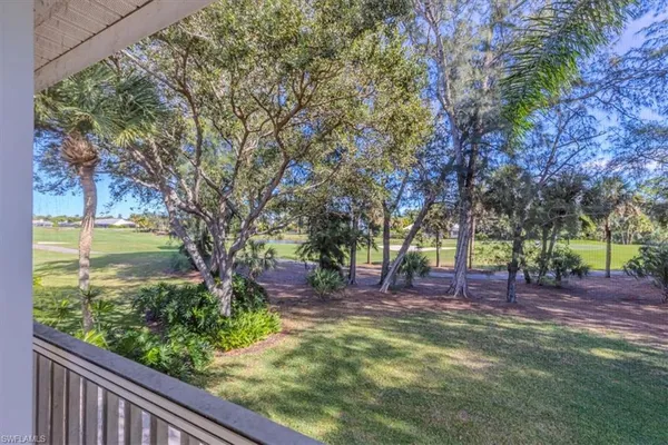 a view of a yard with plants and trees