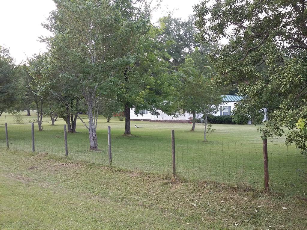 117 Sweetwater Branch Road Fort Mitchell, AL 36856 - Photo 3 of 23 Gallery Image 3