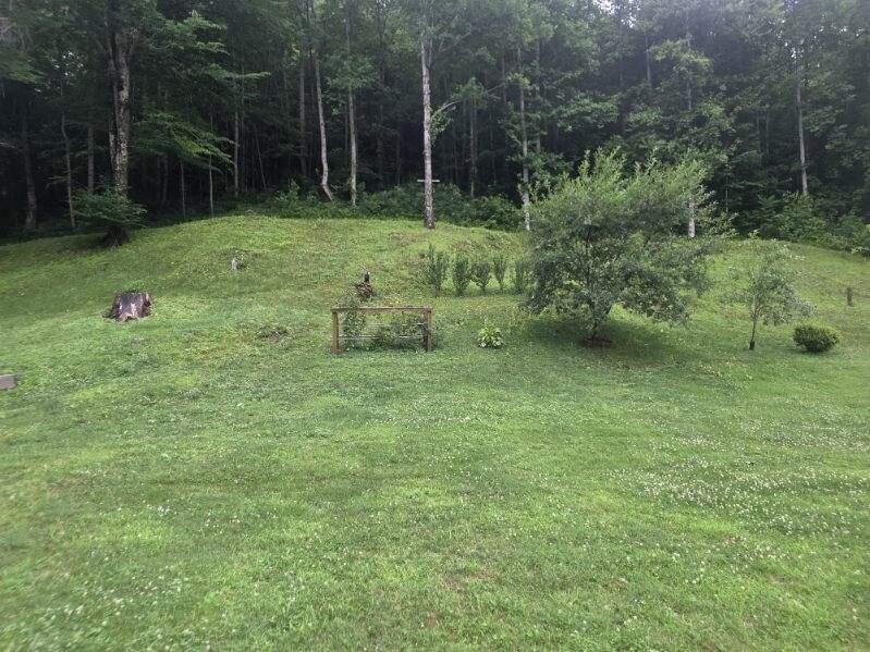 75 Cornwell Sta Road Frenchburg, KY 40322 - Photo 19 of 50 image000009