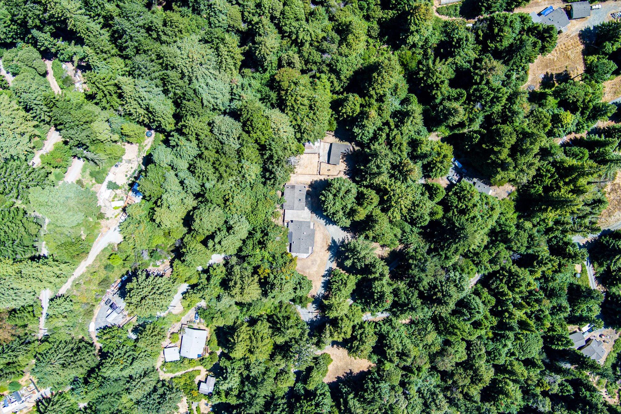 210 Madrone Road Weott, CA 95571 - Photo 78 of 81 Gallery Image 78