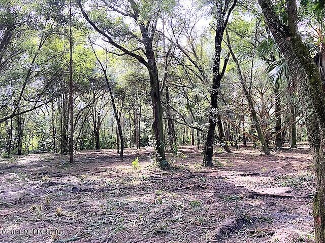 Xxx Radcliff Road Palatka, FL 32177 - Photo 3 of 12 IMG_0017