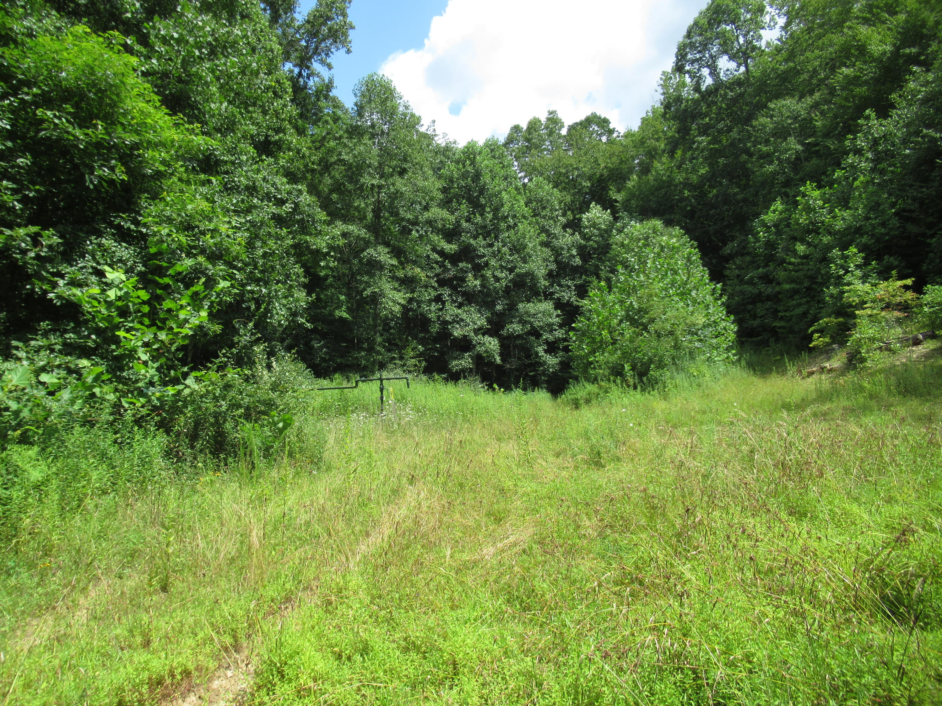 281 Pine Branch Road Shady Spring, WV 25918 - Photo 5 of 22 Gallery Image 5
