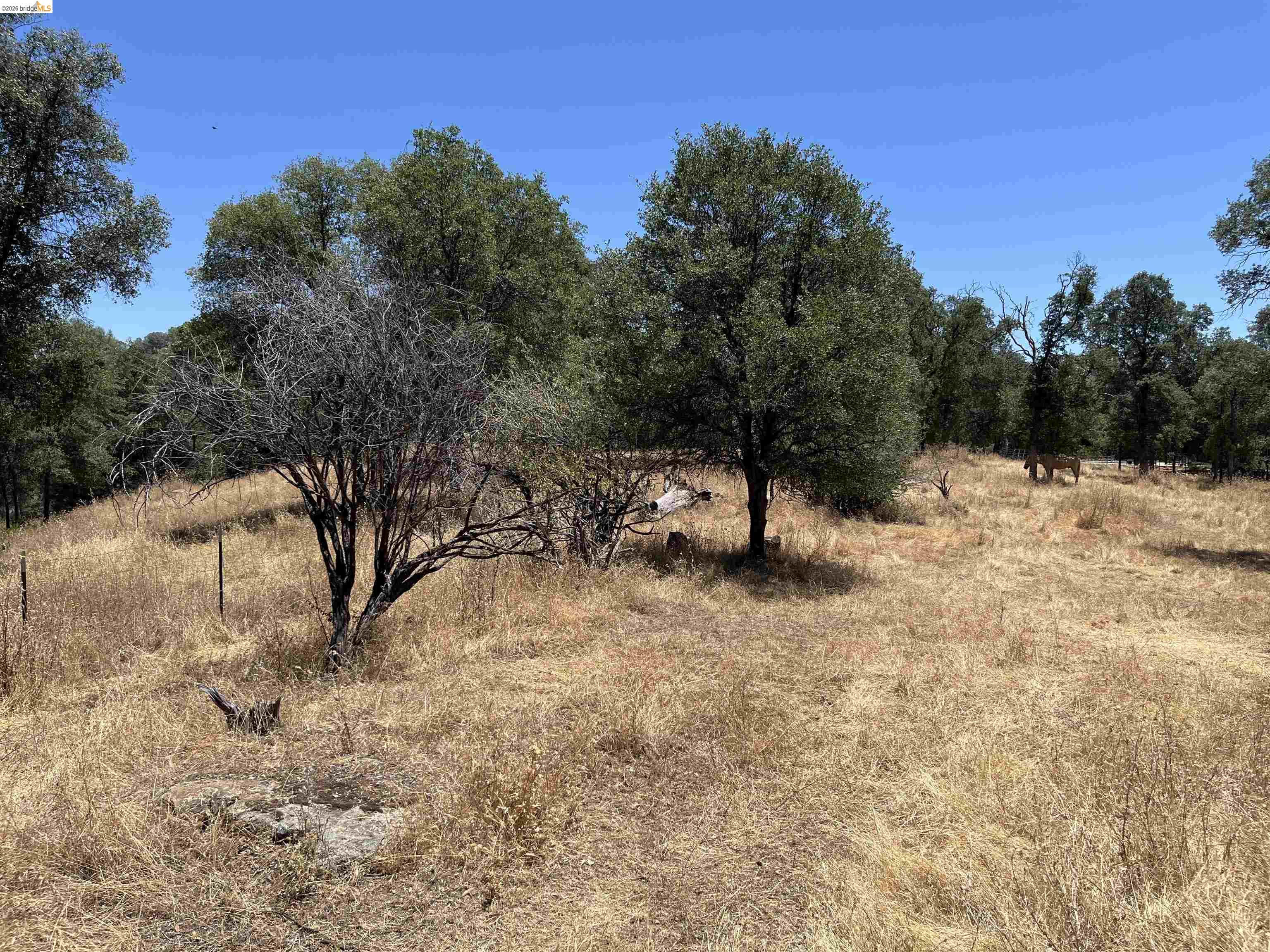 18195 Wards Ferry Road Sonora, CA 95370 - Photo 49 of 67 Expansive land parcel featuring natural topography and mature trees