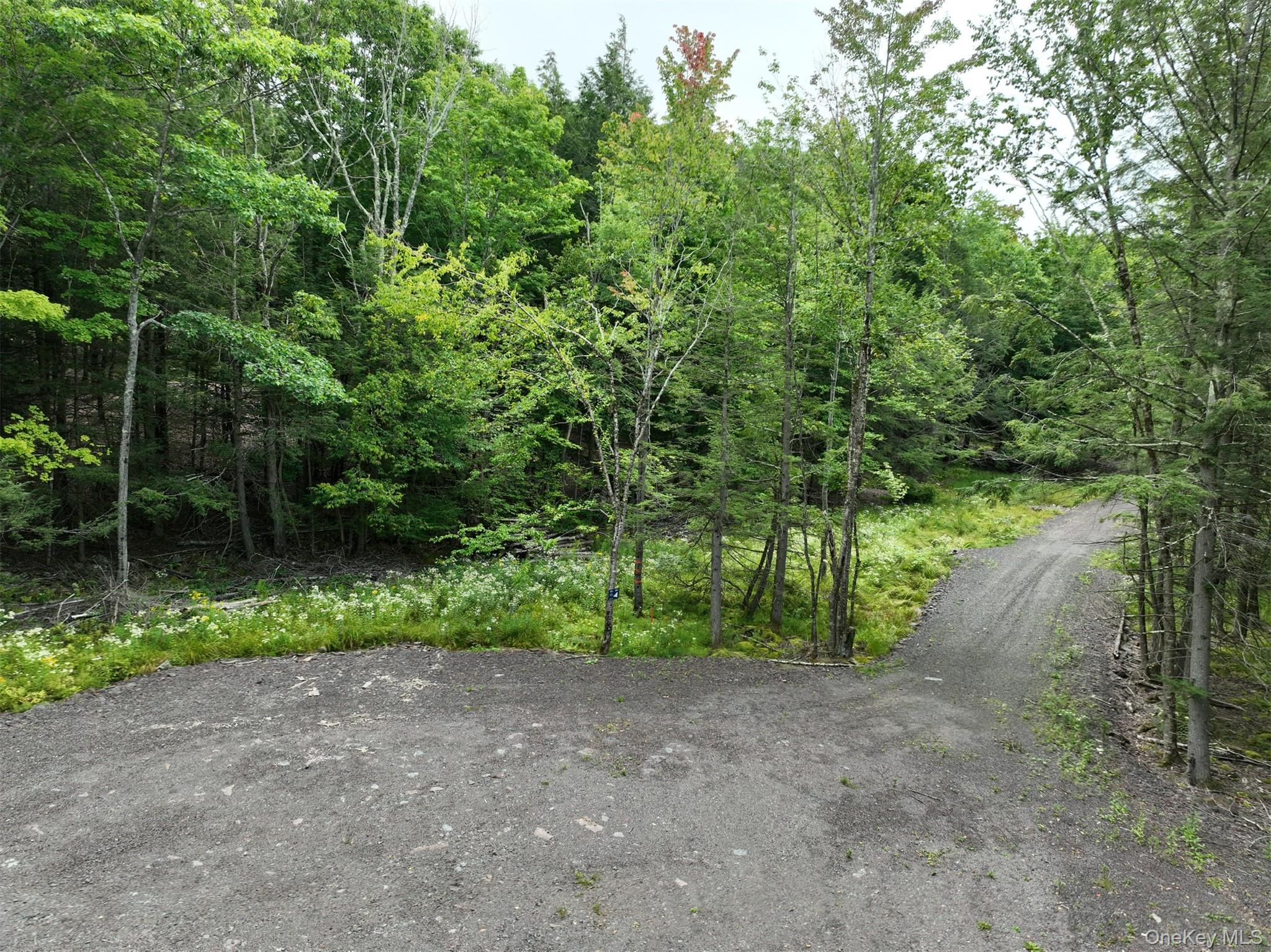 Tbd Boulder Brook Road Windham, NY 12496 - Photo 39 of 46 Gallery Image 39