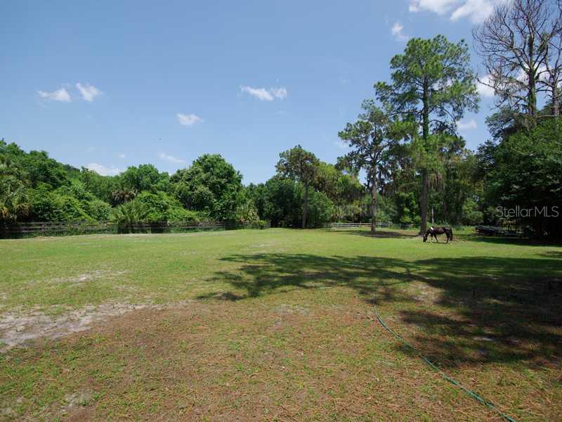 5017 Vanderipe Road Sarasota, FL 34241 - Photo 22 of 25 Other - The northern pasture.