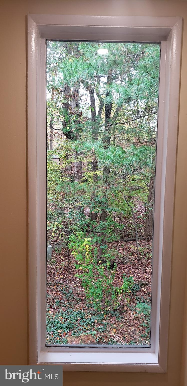2173 White Cornus Lane Reston, VA 20191 - Photo 11 of 18 Gallery Image 11