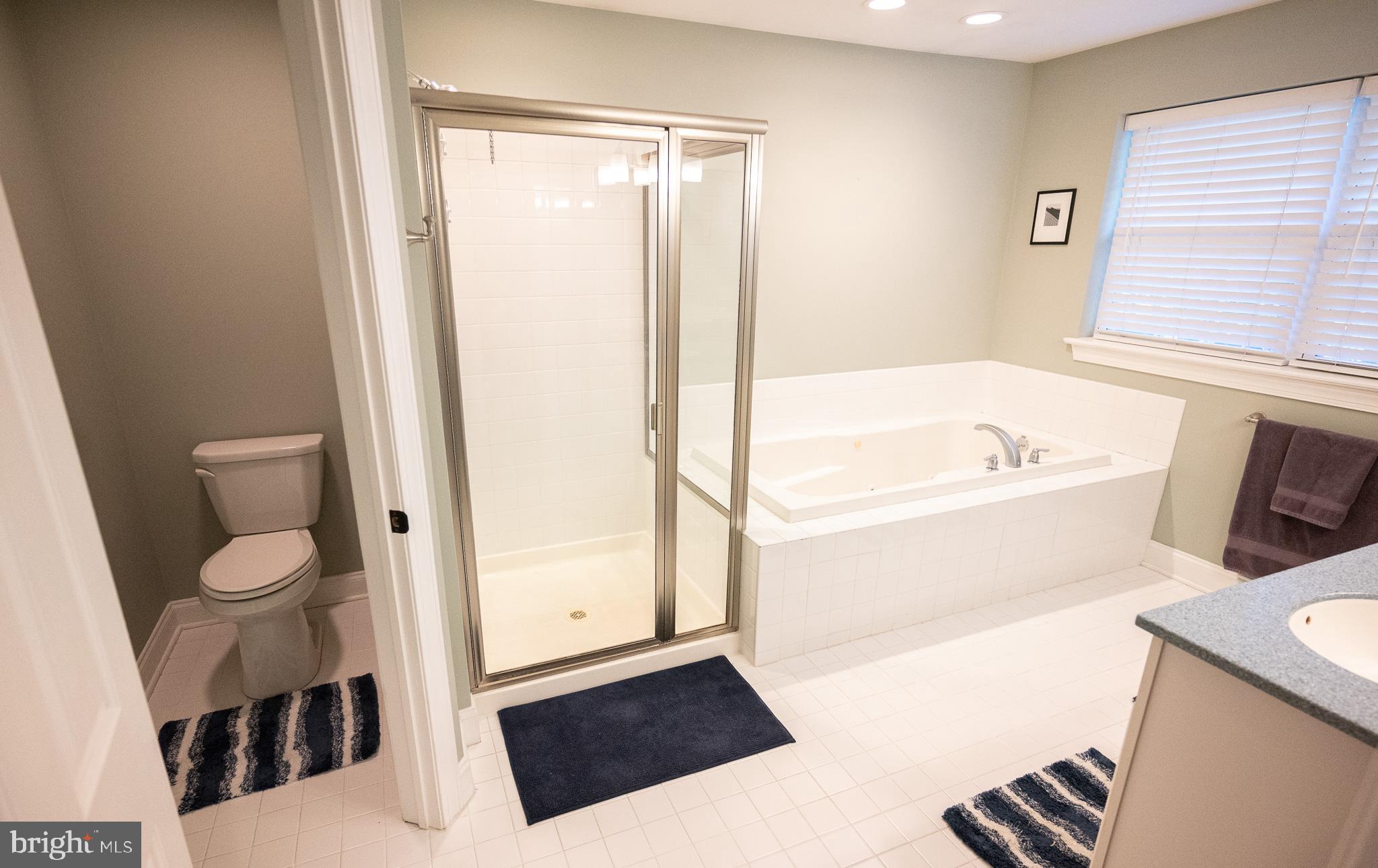 210 Spring Lane West Chester, PA 19382 - Photo 26 of 49 a bathroom with a sink a toilet and shower
