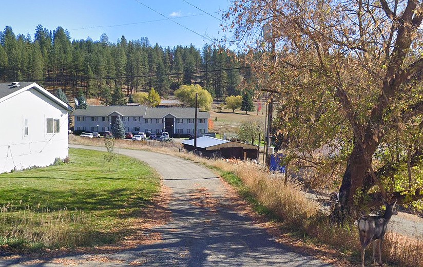 11 North Star Lane Republic, WA 99166 - Photo 2 of 6 a view of swimming pool and trees in the background