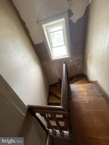 a view of an empty room with wooden floor and a potted plant
