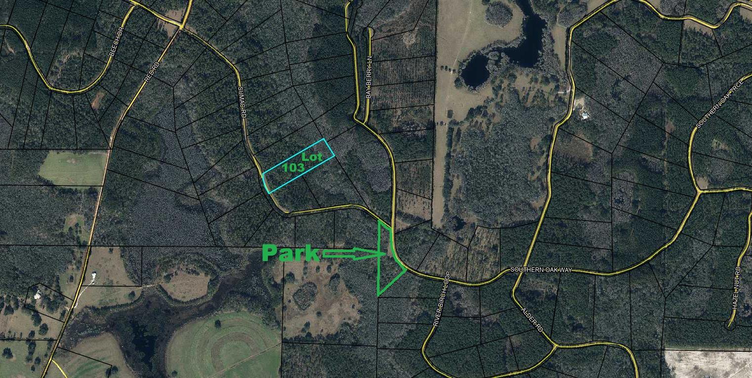 Lot 103 Sumac Road Westville, FL 32464 - Photo 3 of 9 Aerial (Lot 103) - Park on Left, Propert