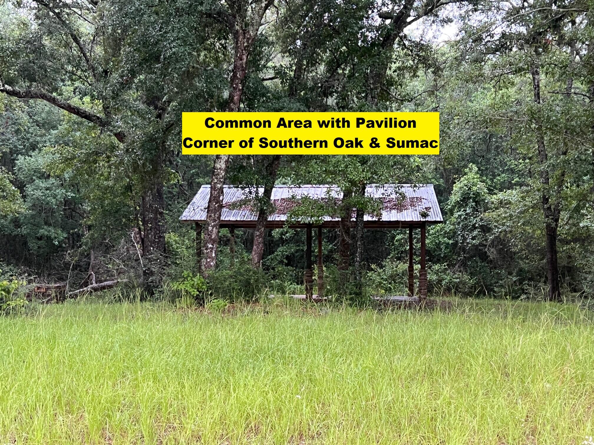 Lot 103 Sumac Road Westville, FL 32464 - Photo 6 of 9 IMG_8781