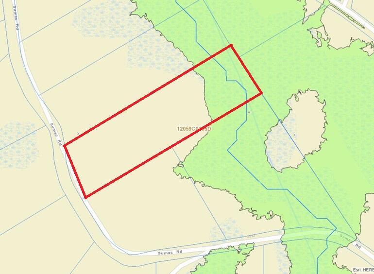 Lot 103 Sumac Road Westville, FL 32464 - Photo 7 of 9 Flood Map