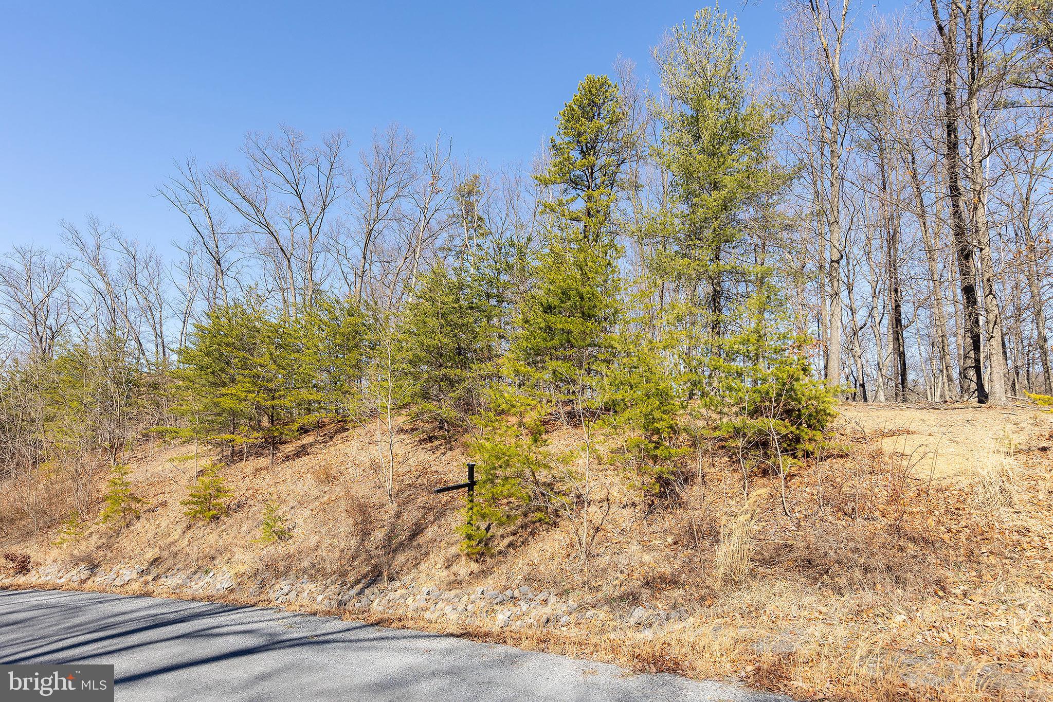 Lot 8 Conns E Drive Winchester, VA 22602 - Photo 1 of 6 a view of a yard with plants and wooden fence