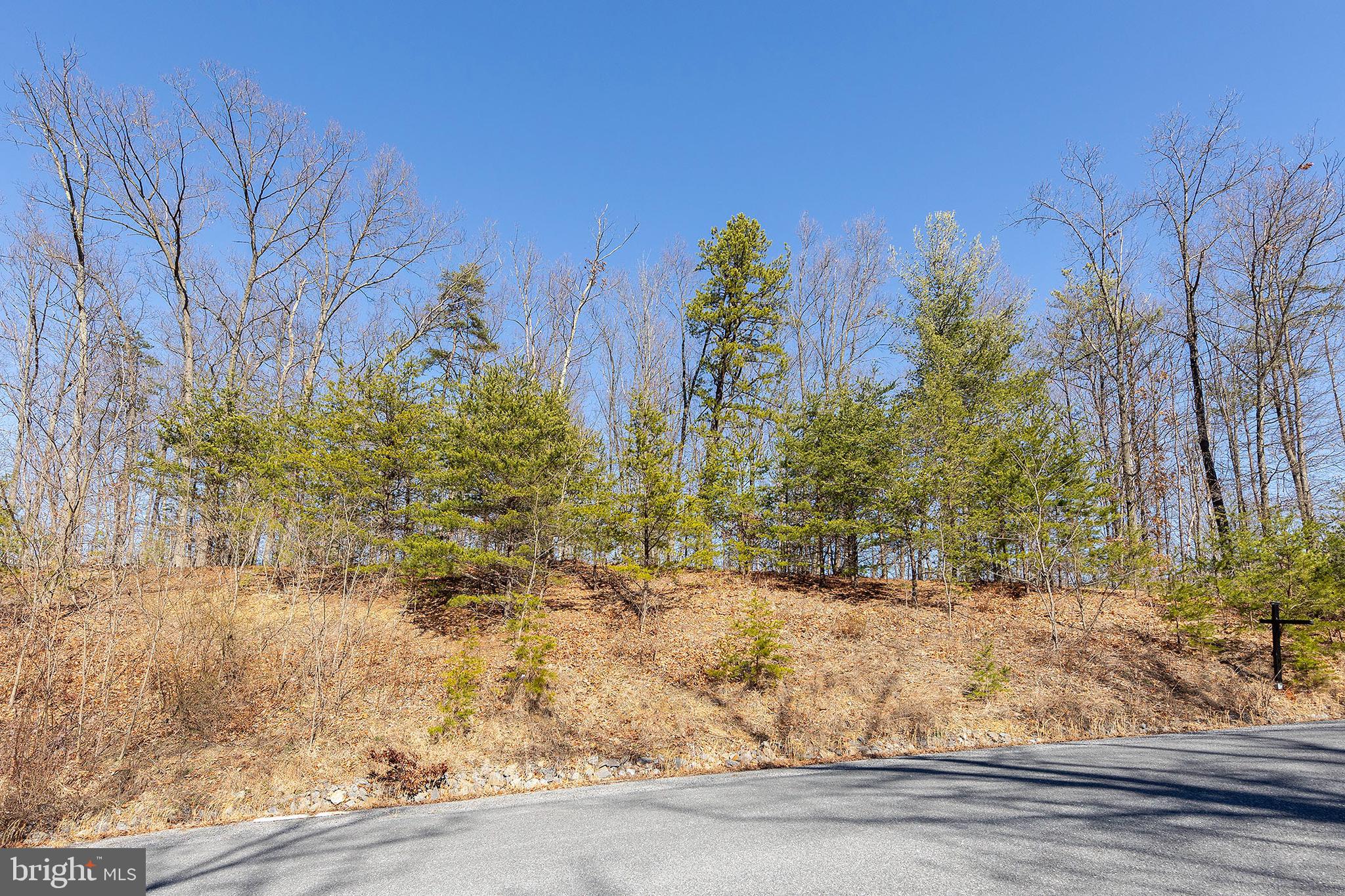 Lot 8 Conns E Drive Winchester, VA 22602 - Photo 3 of 6 a view of a yard with trees