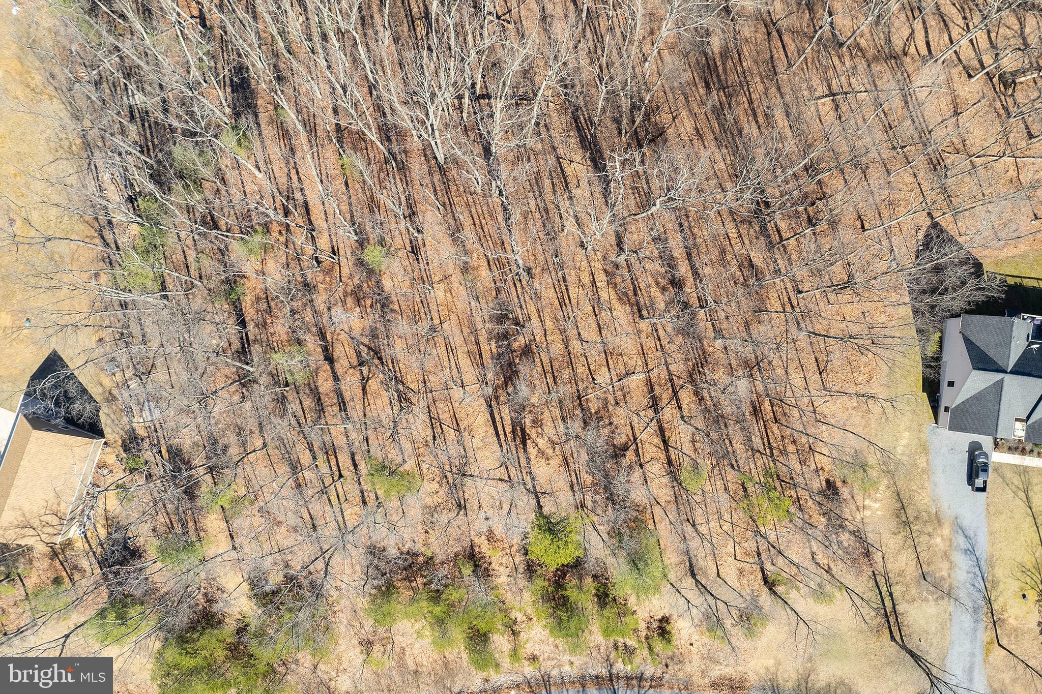 Lot 8 Conns E Drive Winchester, VA 22602 - Photo 4 of 6 a picture of a tree