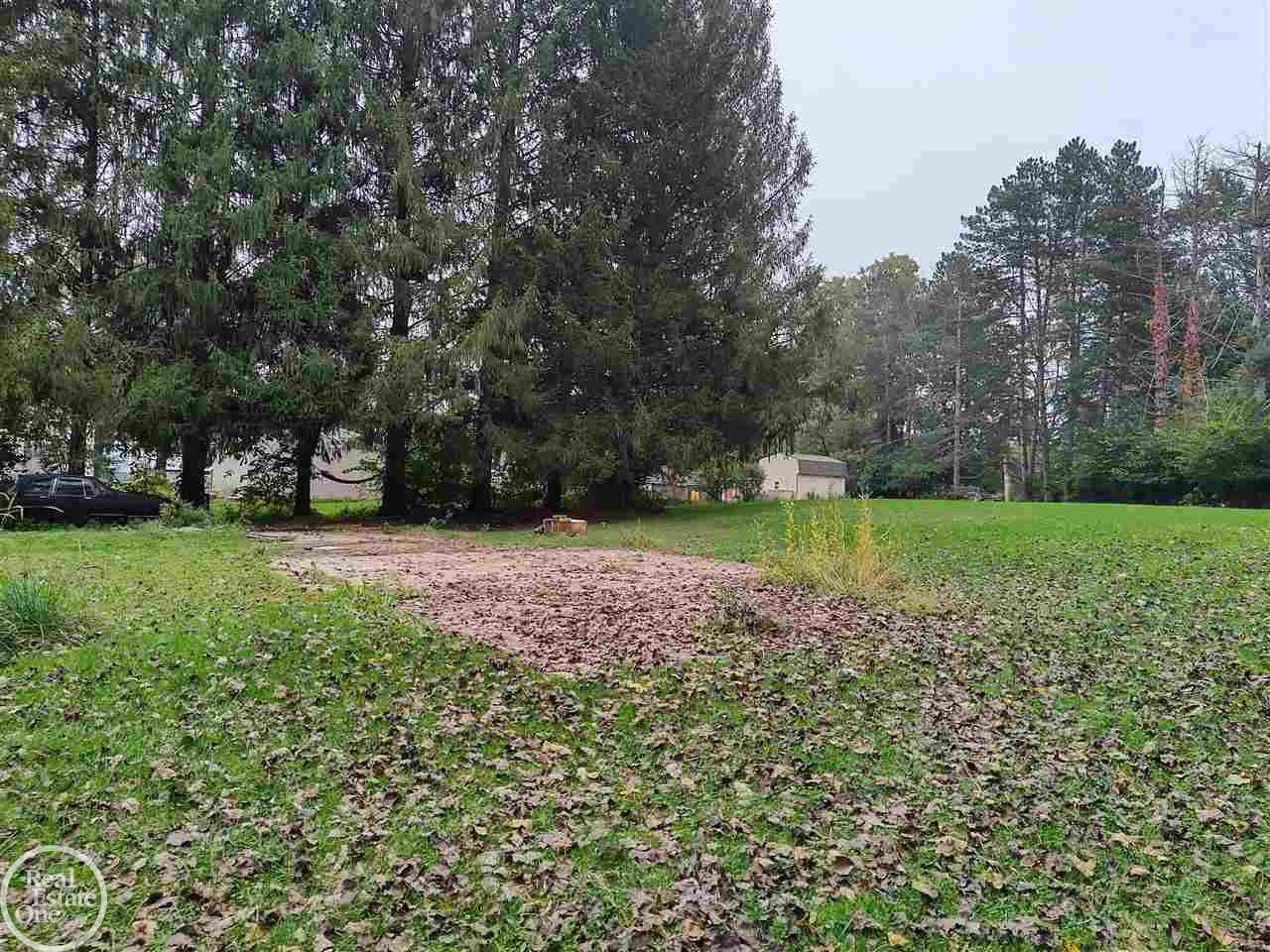 3785 Rives Eaton Road Rives Junction, MI 49277 - Photo 20 of 41 50056421-19.JPG
