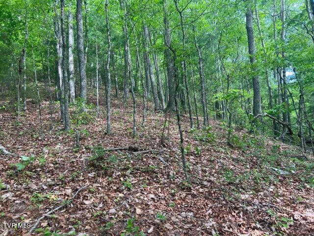 Tbd John Glover Road Hampton, TN 37658 - Photo 29 of 29 0JG 34