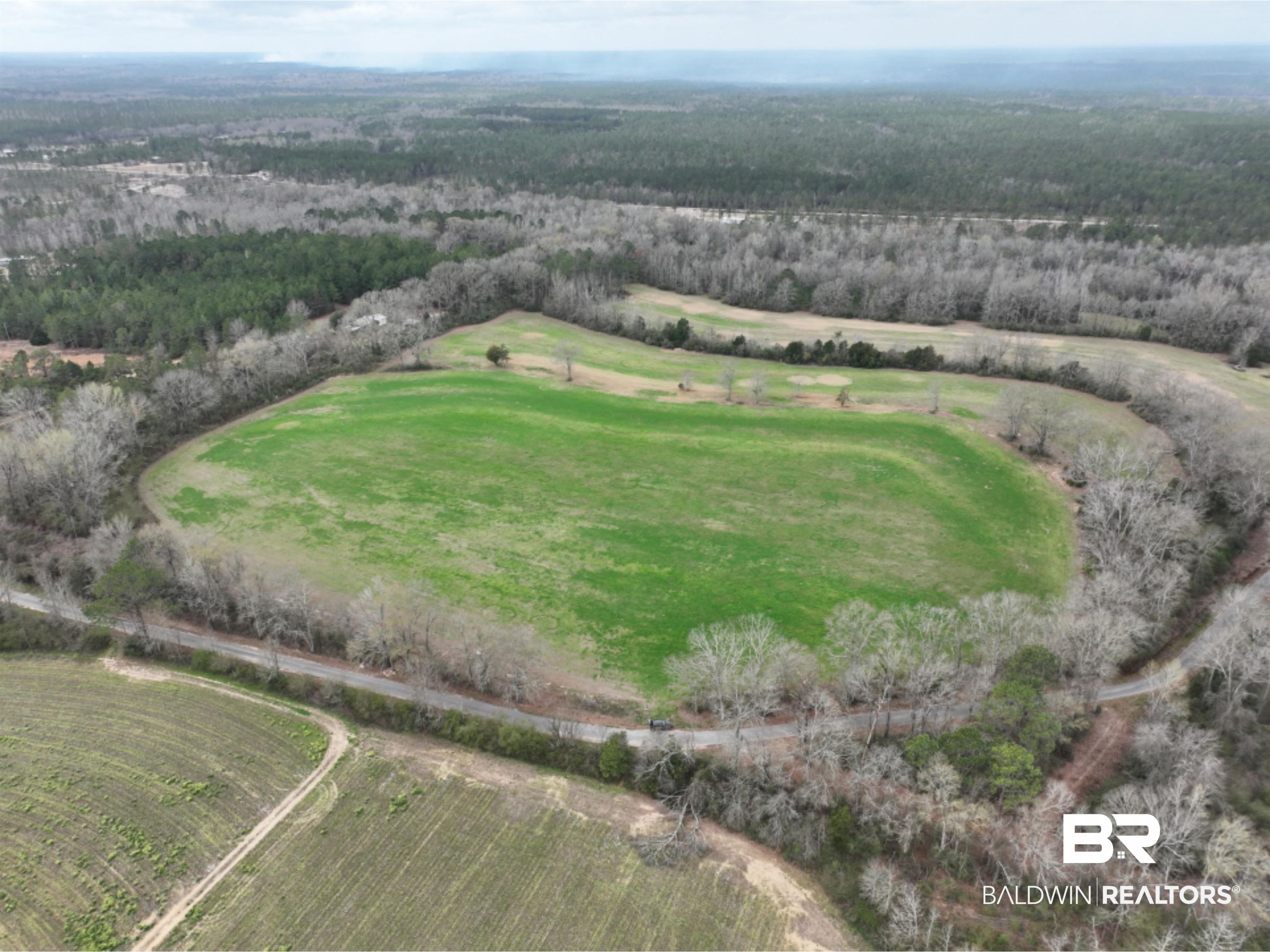 0 Luke Hadley Road Perdido, AL 36562 - Photo 9 of 18