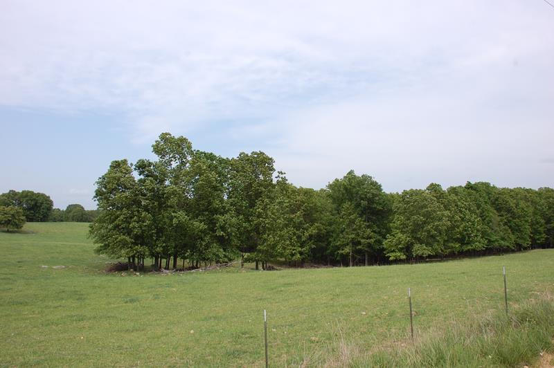 Tbd State Rte MM West Plains, MO 65775 - Photo 1 of 1 1