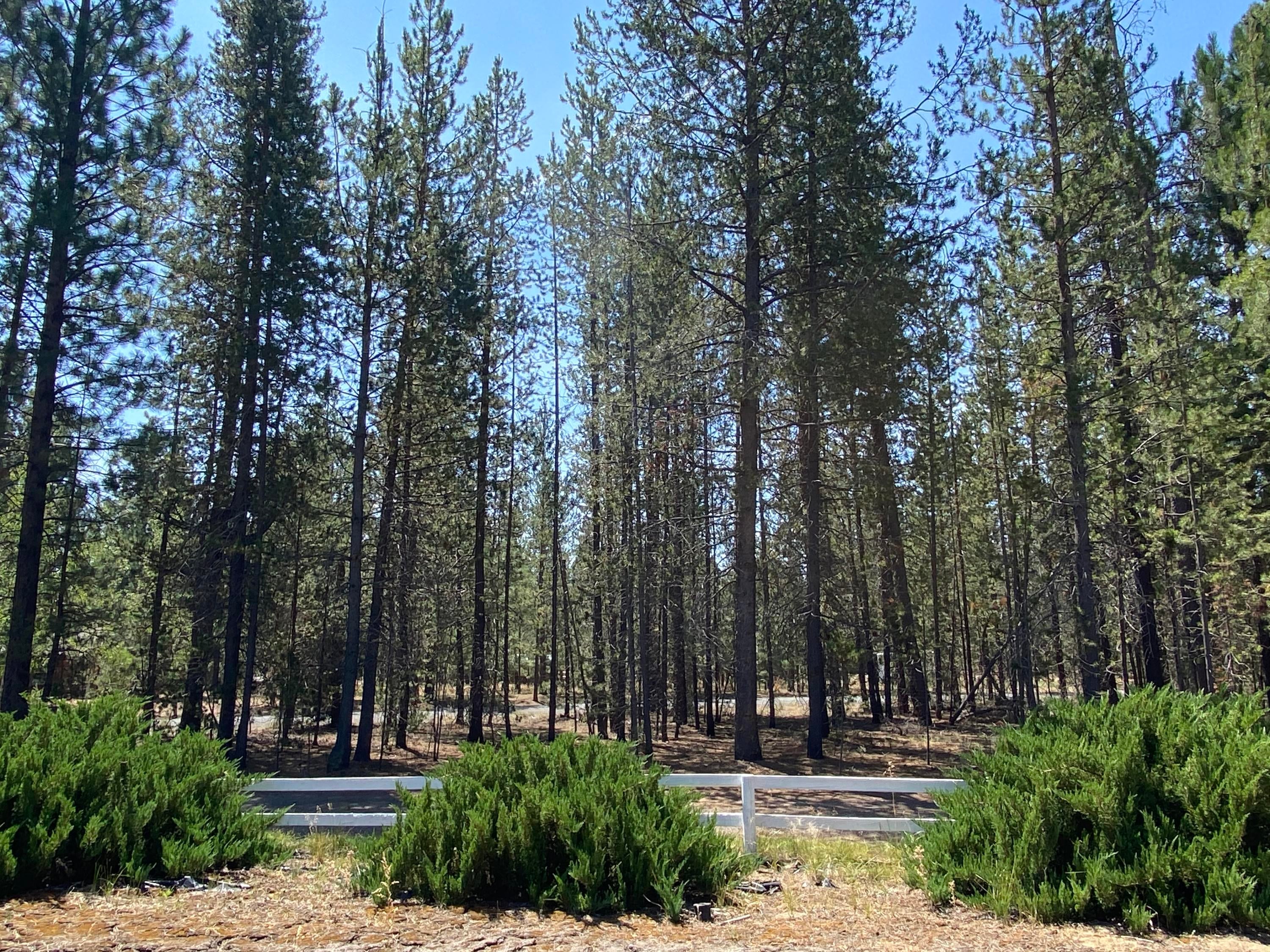 52055 Read Loop La Pine, OR 97739 - Photo 33 of 36 Wonderful Property