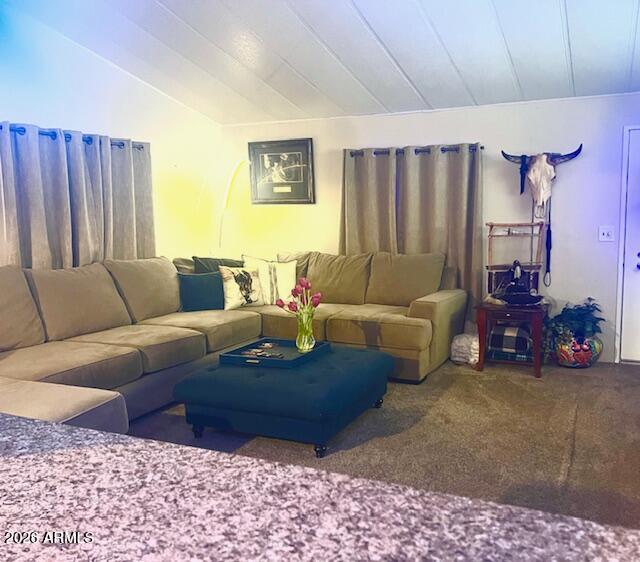 2605 South Tomahawk Road, Unit 170 Apache Junction, AZ 85119 - Photo 14 of 42 Another Angle