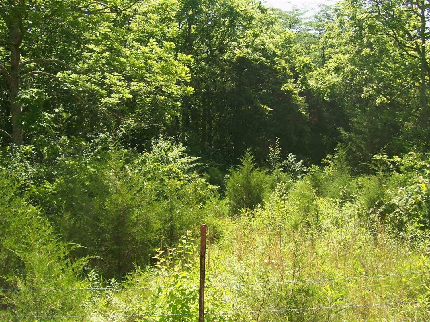 2380 Taylor Ridge Road Nicholasville, KY 40356 - Photo 3 of 5 Photo 3