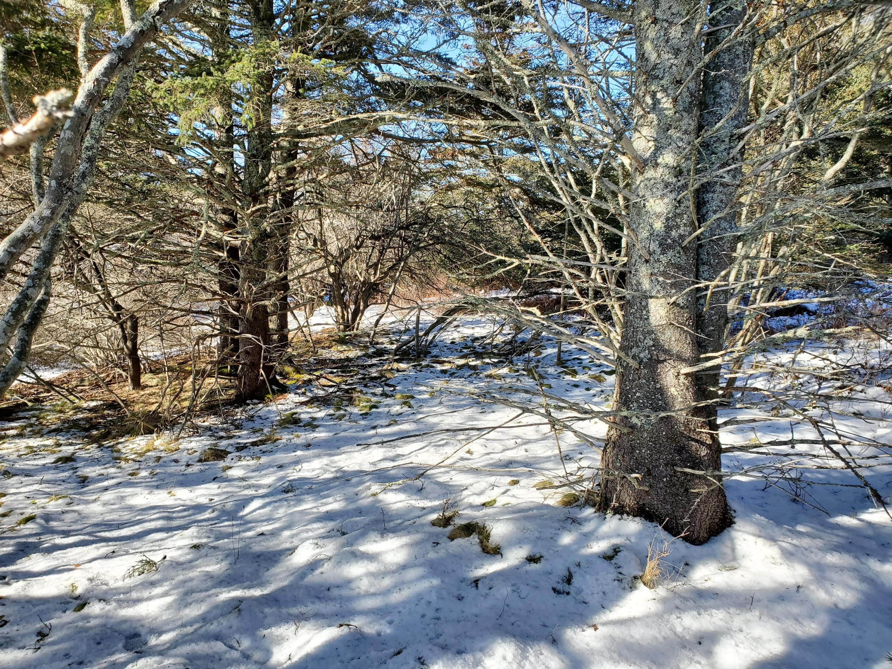 Lot 13-3 Dunham Point Road Deer Isle, ME 04627 - Photo 9 of 21 20200124_102919