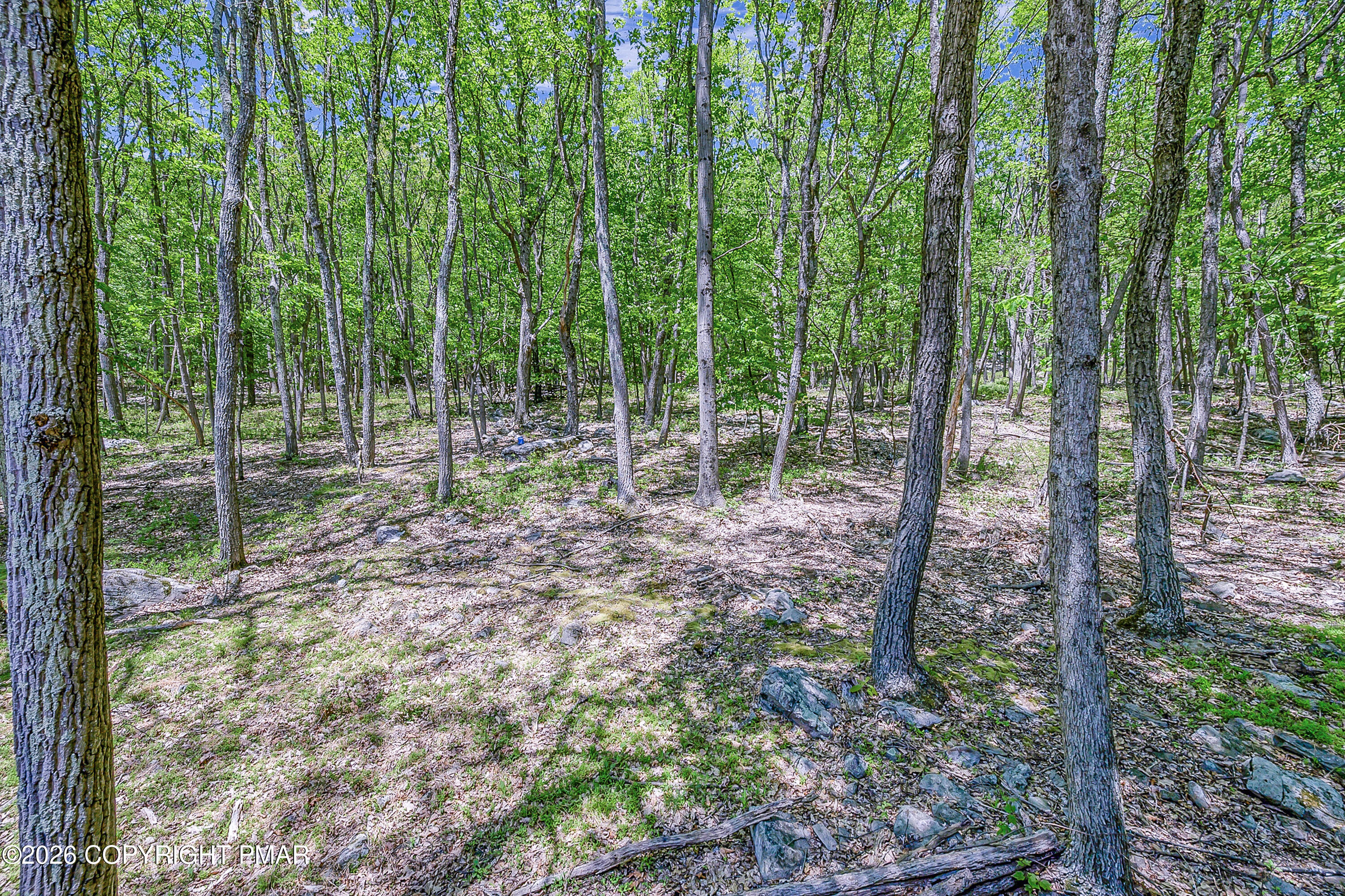 171 Foothill Boulevard Effort, PA 18330 - Photo 41 of 47 Back Yard