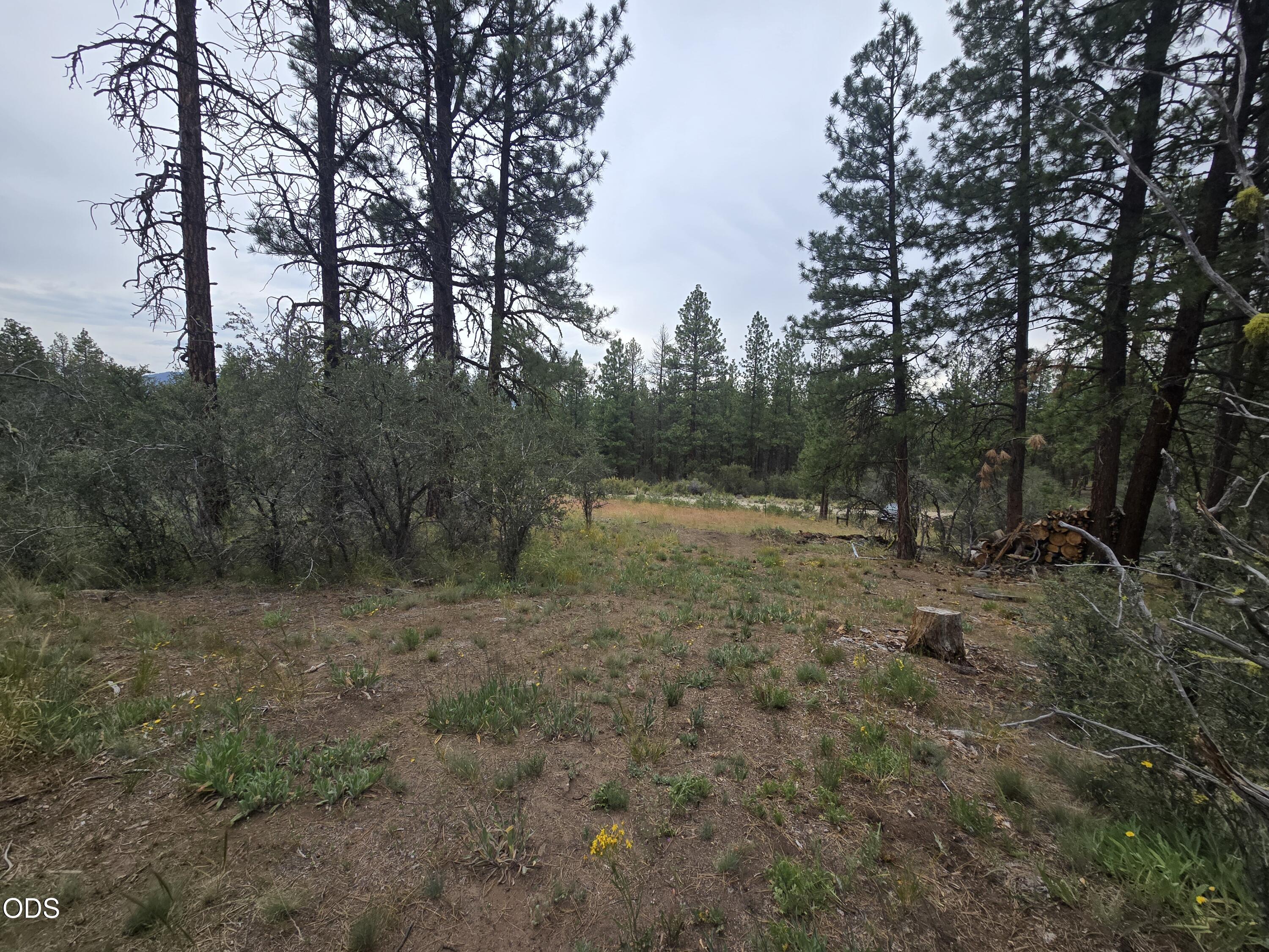 0 Partin Drive, Unit 5 Beatty, OR 97621 - Photo 5 of 15