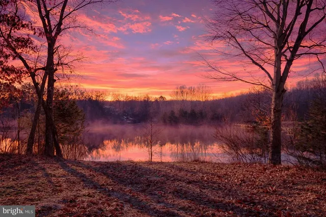 a view of a yard next to a house