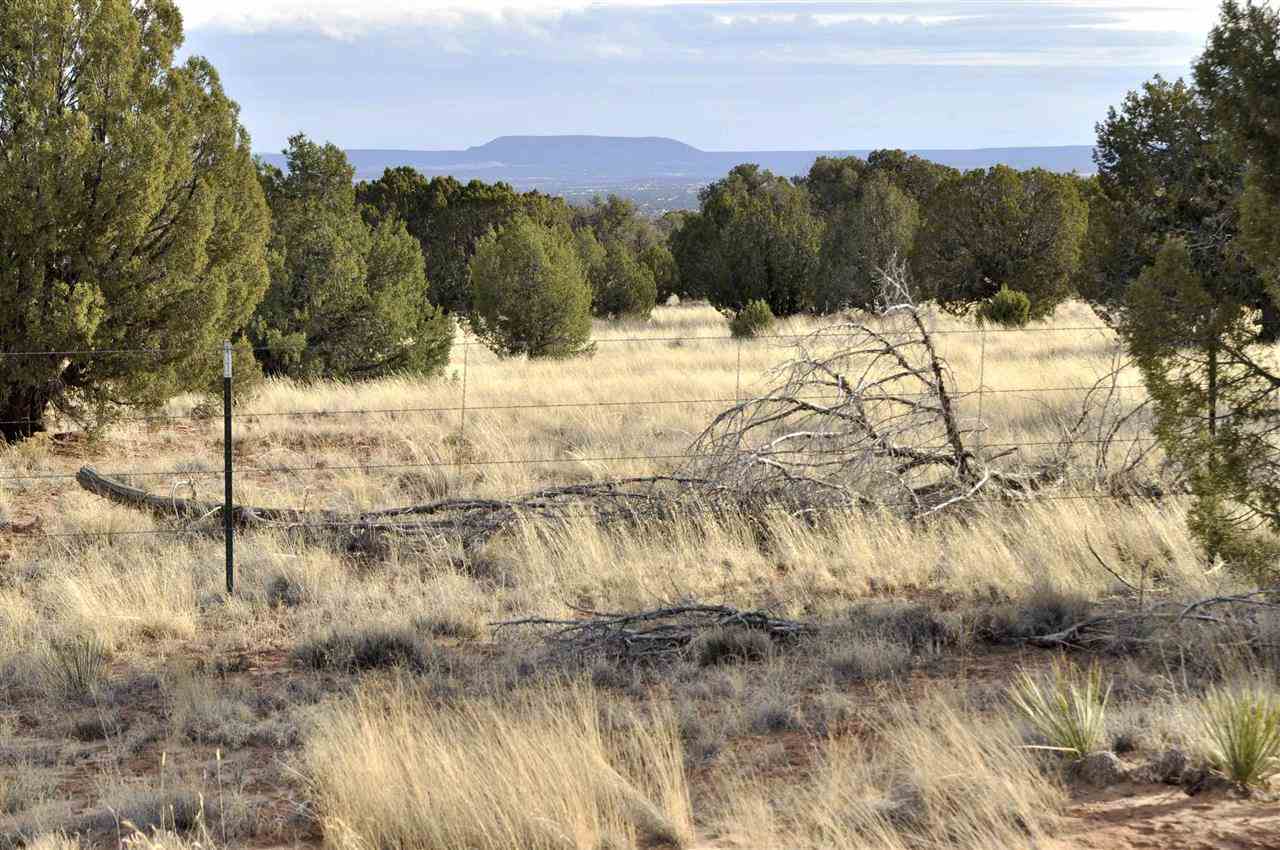 Lot 113 River Meadows Ranch Concho, AZ 85924 - Photo 11 of 16
