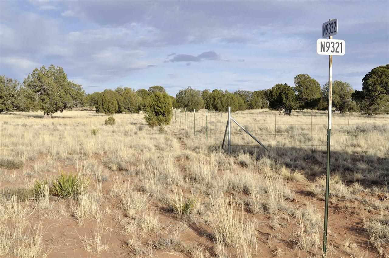 Lot 113 River Meadows Ranch Concho, AZ 85924 - Photo 12 of 16