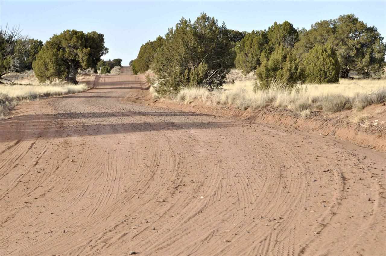 Lot 113 River Meadows Ranch Concho, AZ 85924 - Photo 13 of 16