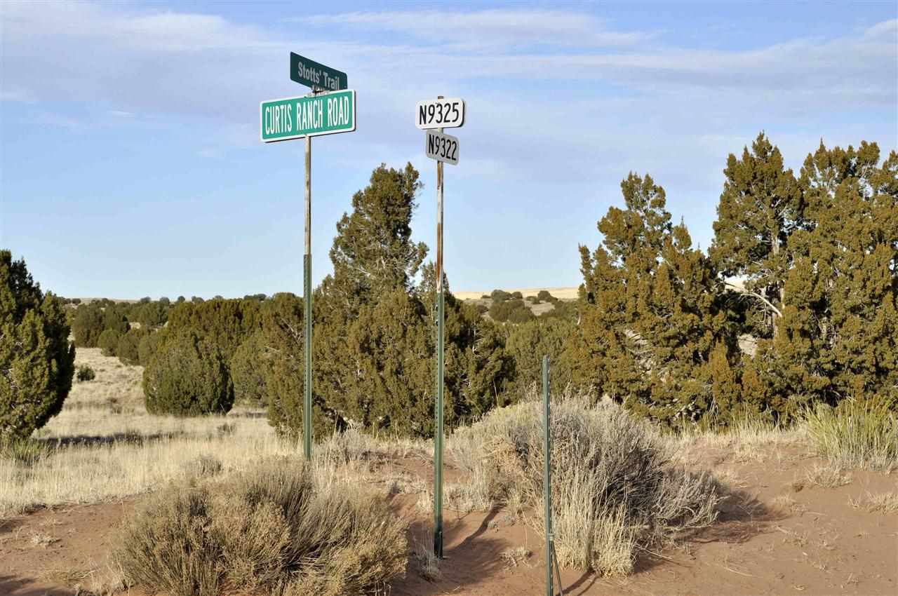 Lot 113 River Meadows Ranch Concho, AZ 85924 - Photo 14 of 16