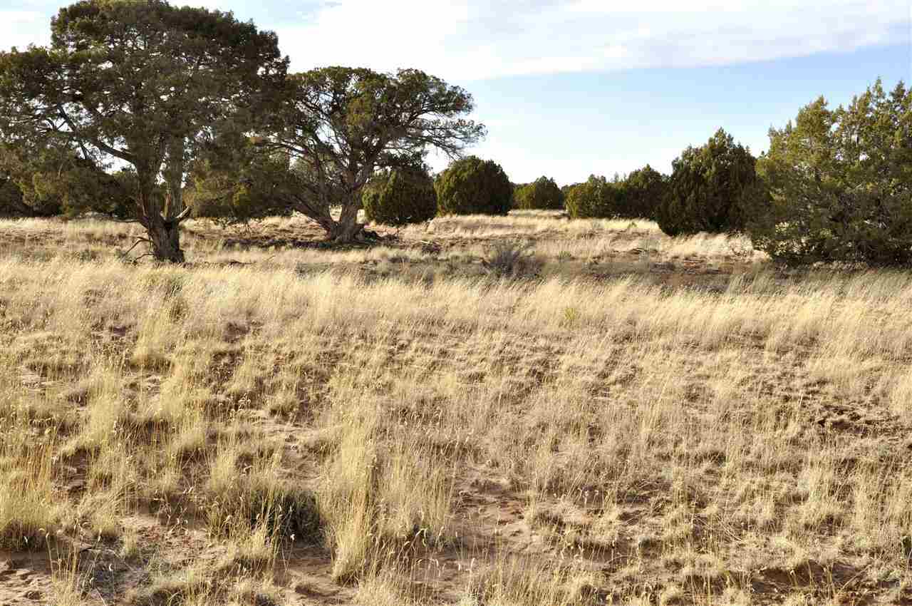 Lot 113 River Meadows Ranch Concho, AZ 85924 - Photo 15 of 16