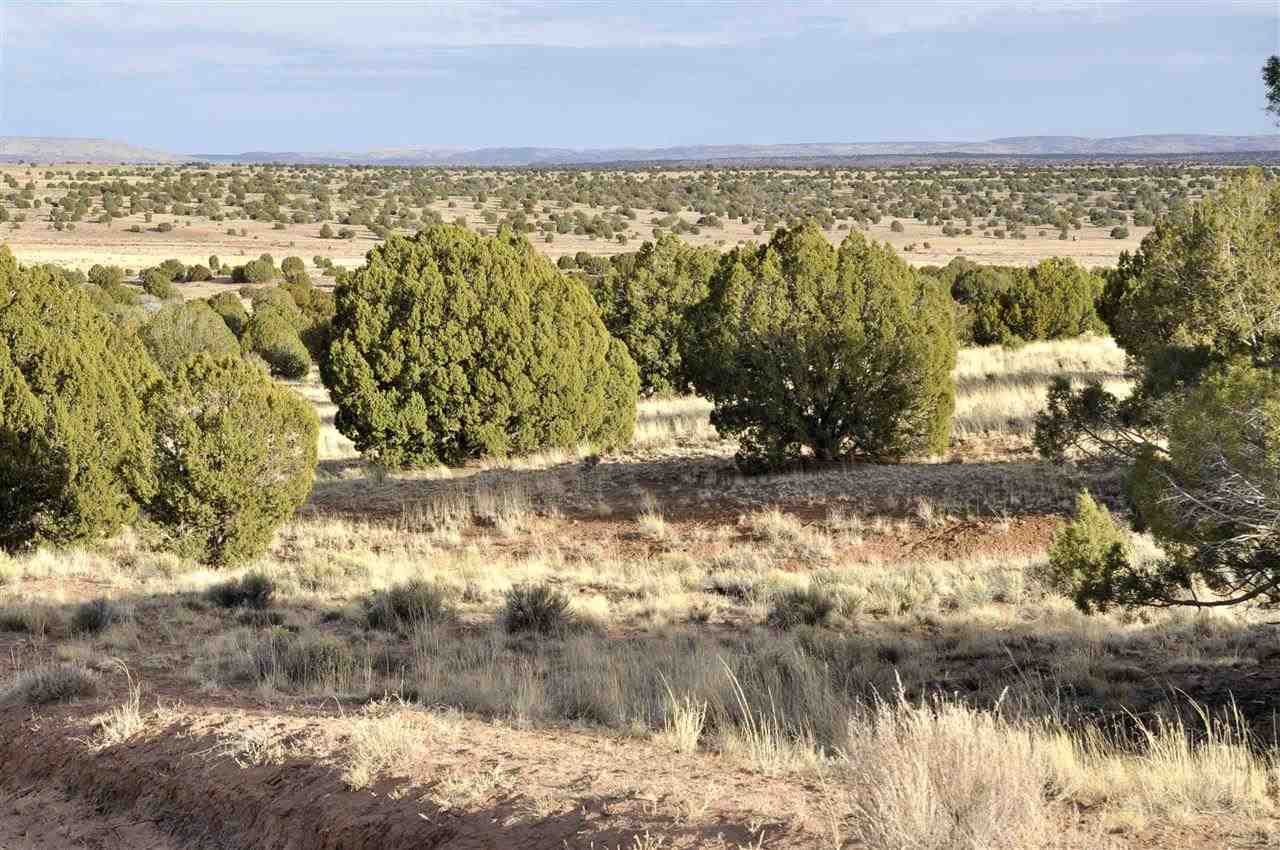 Lot 113 River Meadows Ranch Concho, AZ 85924 - Photo 16 of 16
