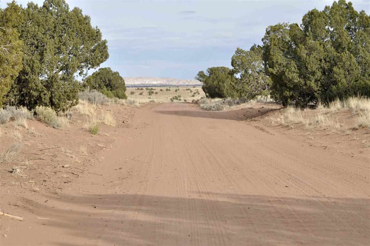 Lot 113 River Meadows Ranch Concho, AZ 85924 - Photo 2 of 16