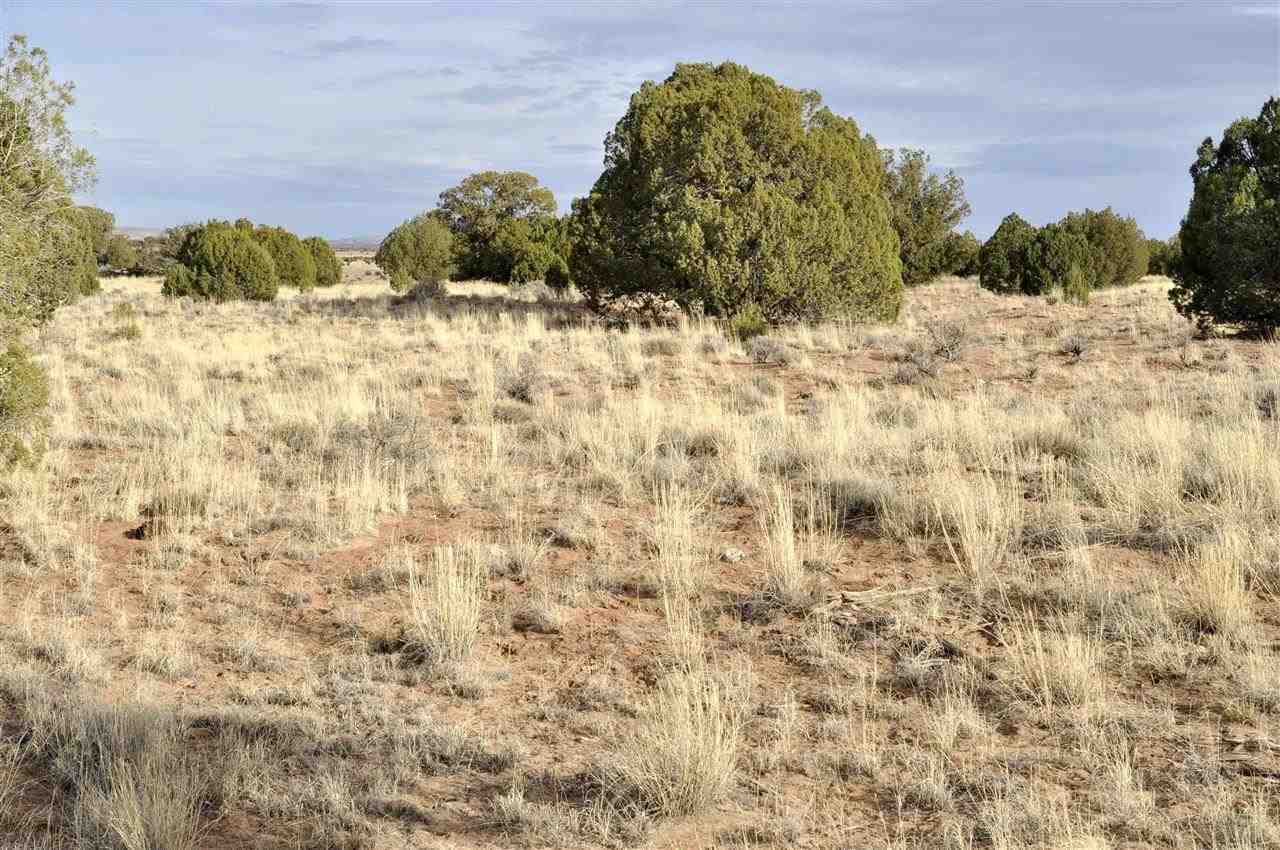 Lot 113 River Meadows Ranch Concho, AZ 85924 - Photo 3 of 16