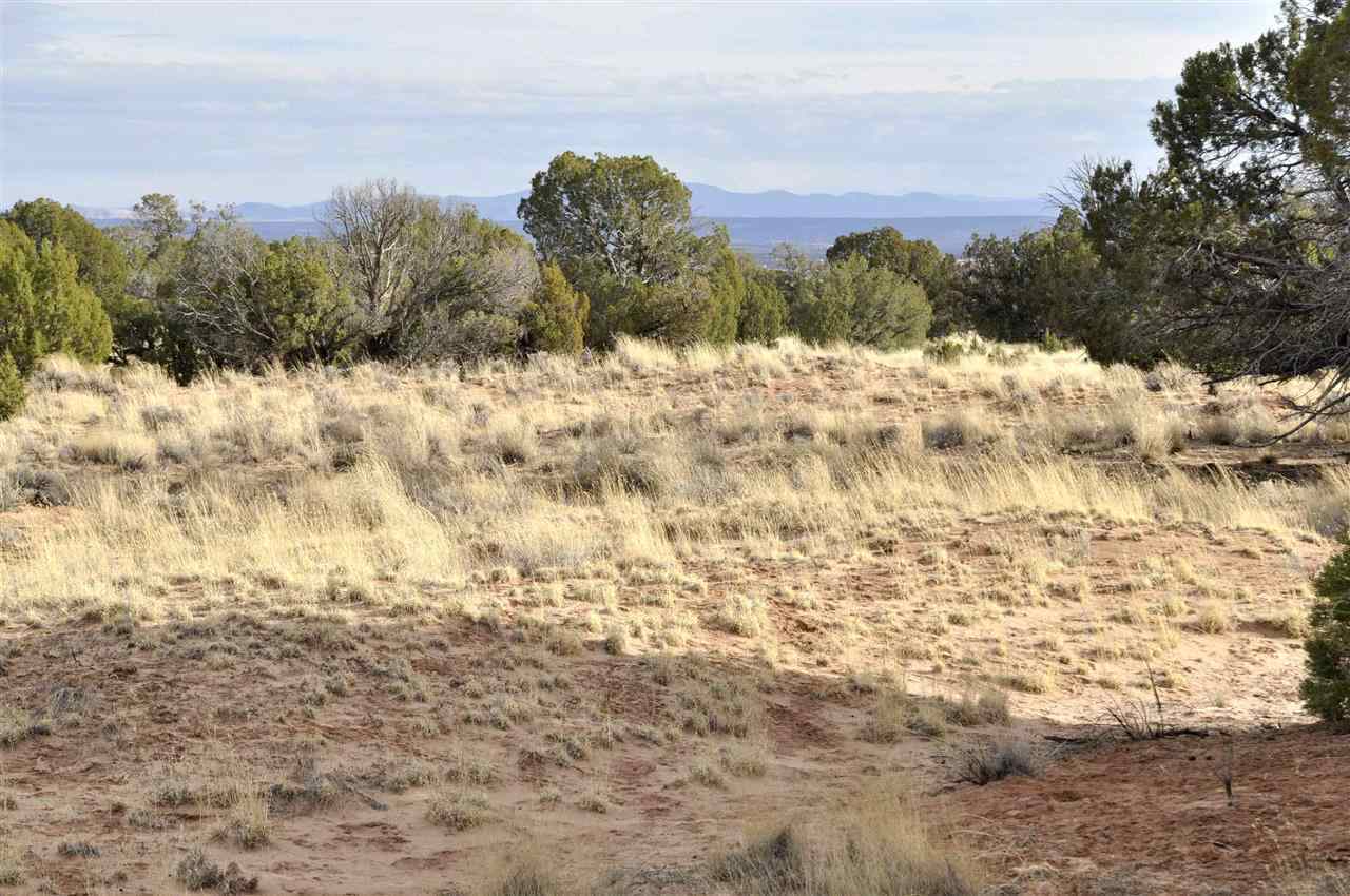 Lot 113 River Meadows Ranch Concho, AZ 85924 - Photo 4 of 16