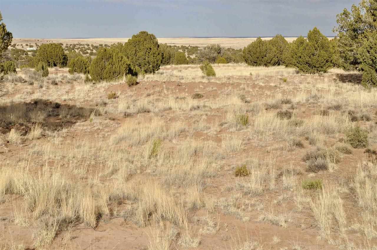 Lot 113 River Meadows Ranch Concho, AZ 85924 - Photo 5 of 16