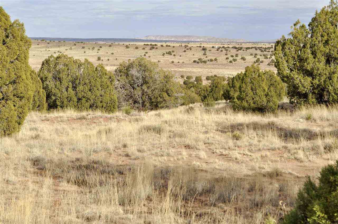 Lot 113 River Meadows Ranch Concho, AZ 85924 - Photo 6 of 16