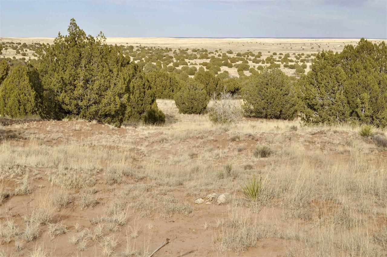 Lot 113 River Meadows Ranch Concho, AZ 85924 - Photo 7 of 16