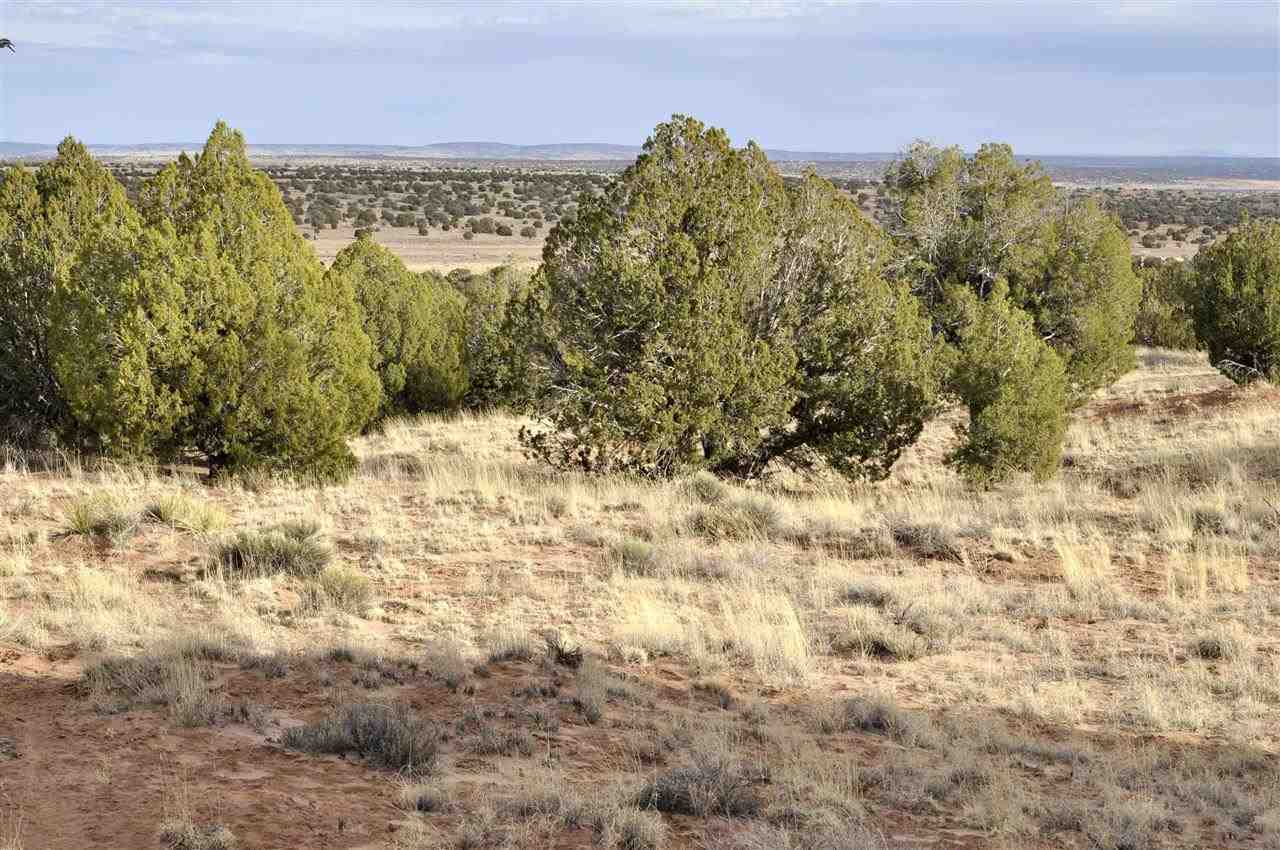 Lot 113 River Meadows Ranch Concho, AZ 85924 - Photo 8 of 16