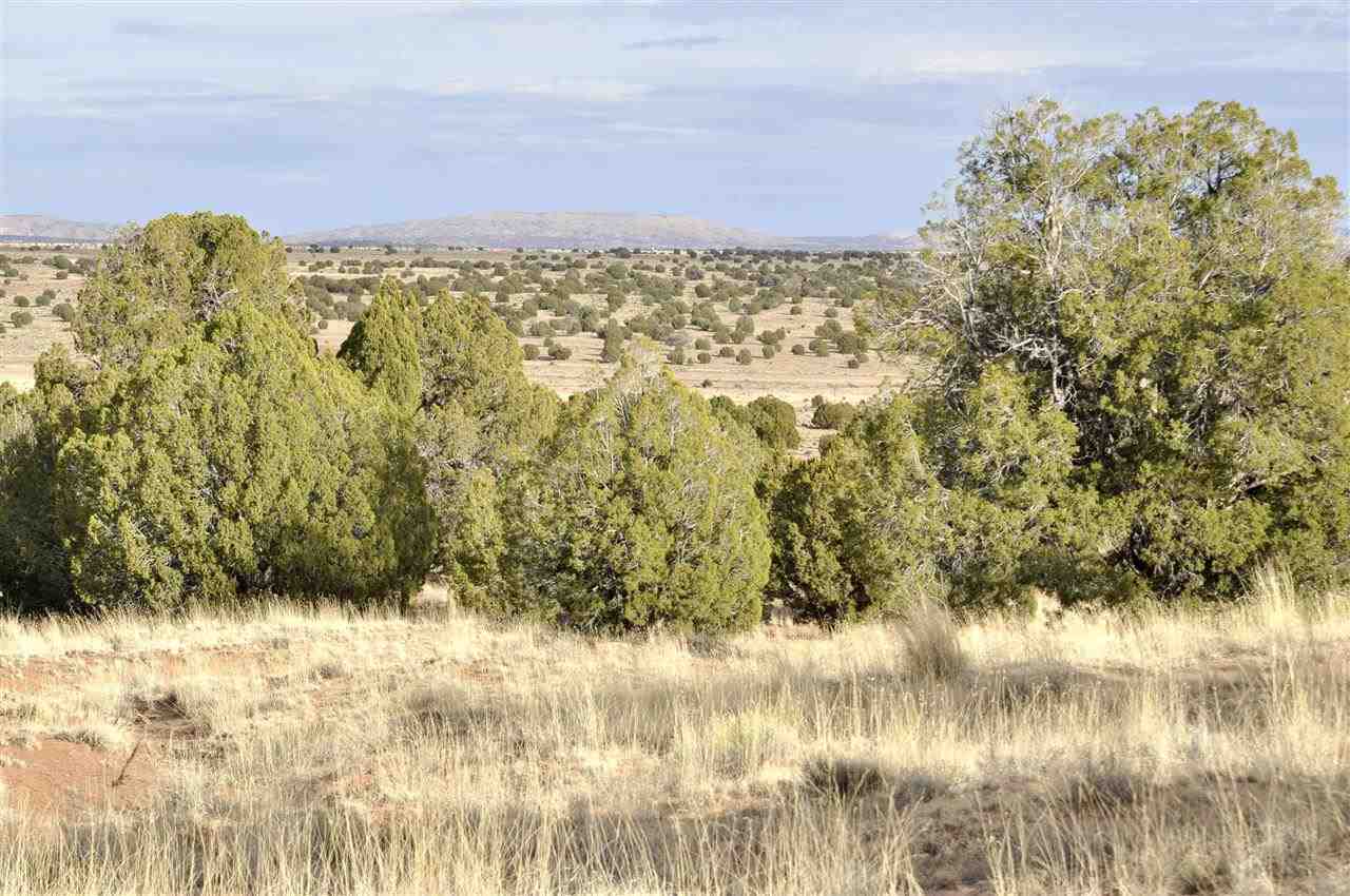 Lot 113 River Meadows Ranch Concho, AZ 85924 - Photo 9 of 16