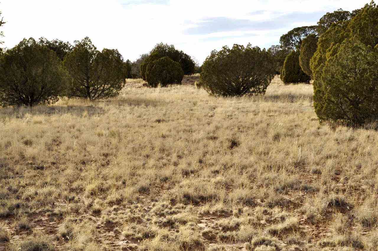 Lot 113 River Meadows Ranch Concho, AZ 85924 - Photo 10 of 16