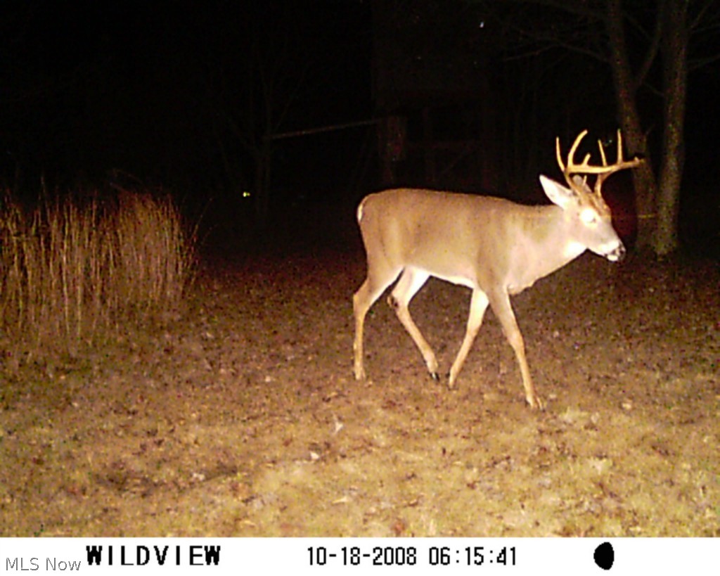 49901 Tipple Road Hopedale, OH 43976 - Photo 9 of 25 Gallery Image 9