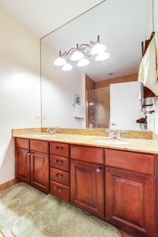 922 North Howe Street, Unit 922 Chicago, IL 60610 - Photo 14 of 15