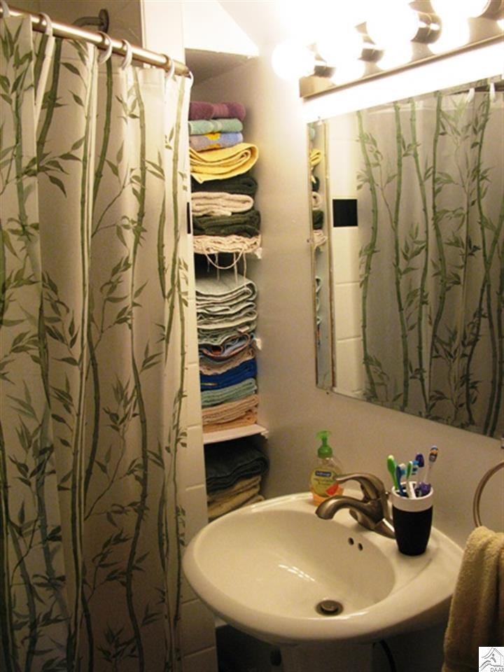 315 East Locust Street Duluth, MN 55811 - Photo 7 of 17 Main Floor Bath