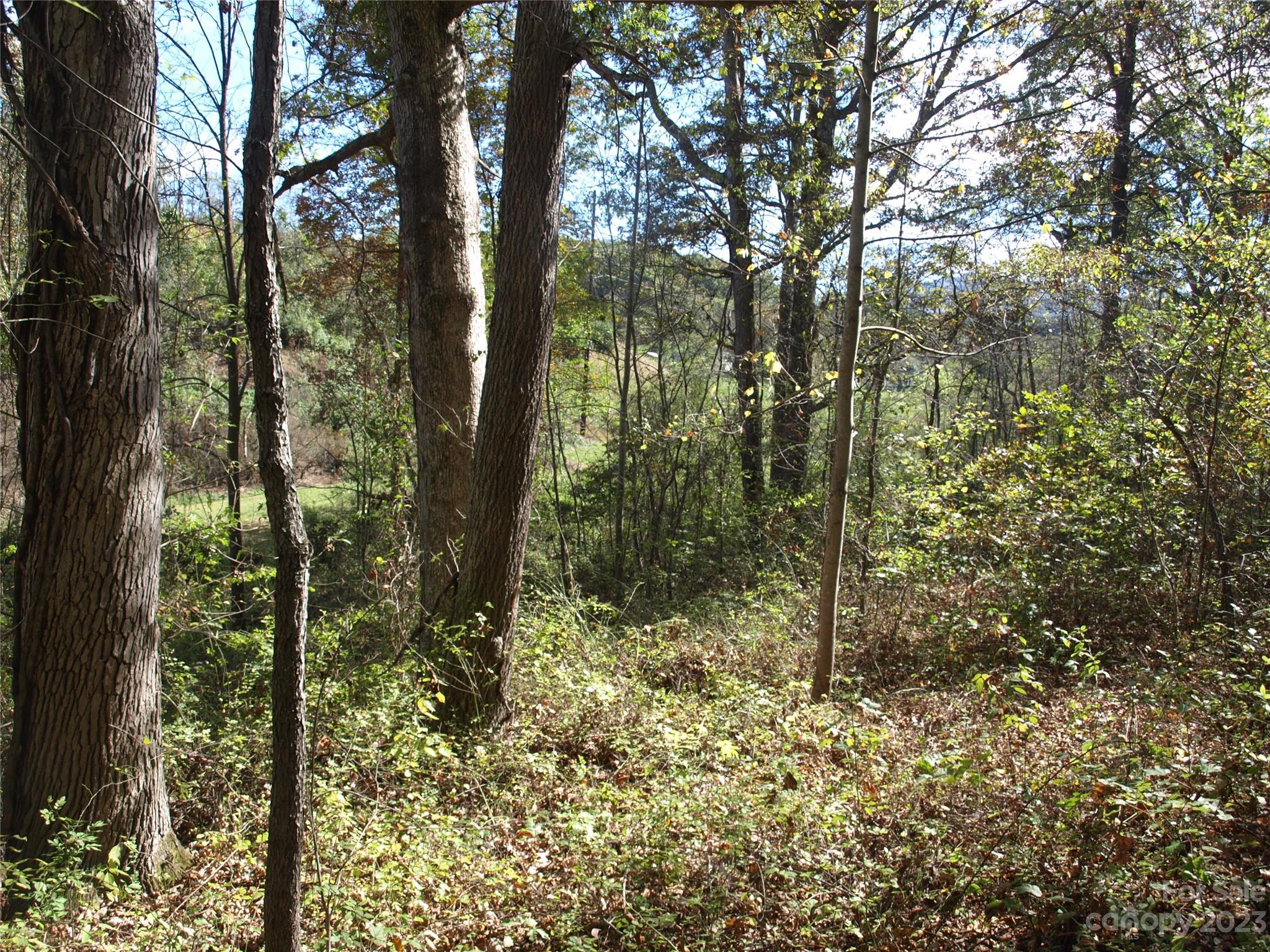 0 Liberty Way Clyde, NC 28721 - Photo 7 of 17 a view of forest