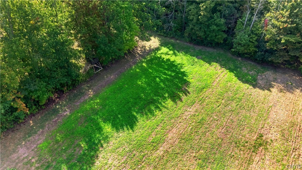 158 Johnson Road Parish, NY 13131 - Photo 12 of 37 Gallery Image 12